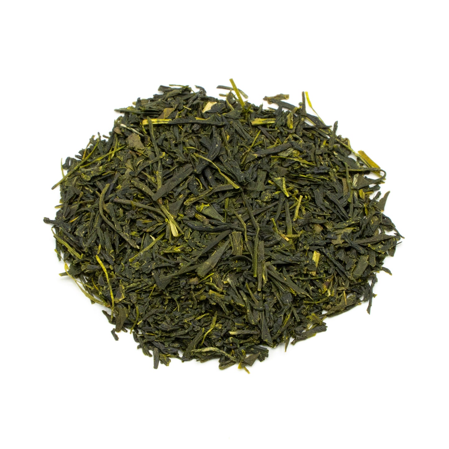 Sencha Hoshino